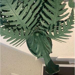 Exquisitely crafted fern motif wall sconces/pair.